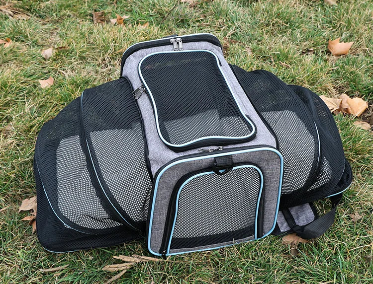 A black and gray foldable soft-sided pet carrier for small dogs and cats lying on green grass.