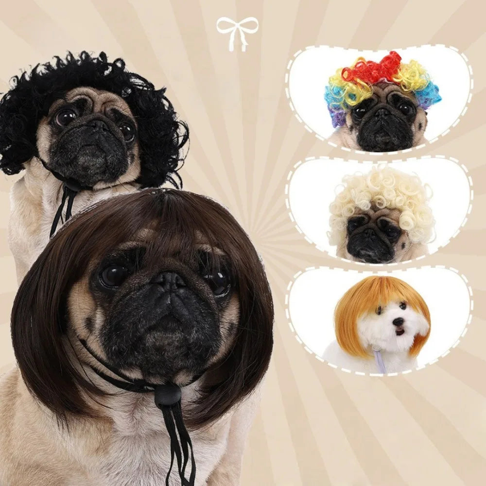 Pet Bob Wig – Funny Cat & Dog Costume Accessory