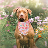 Floral Daisy Print Triangle Dog Bandana – Washable Pet Scarf