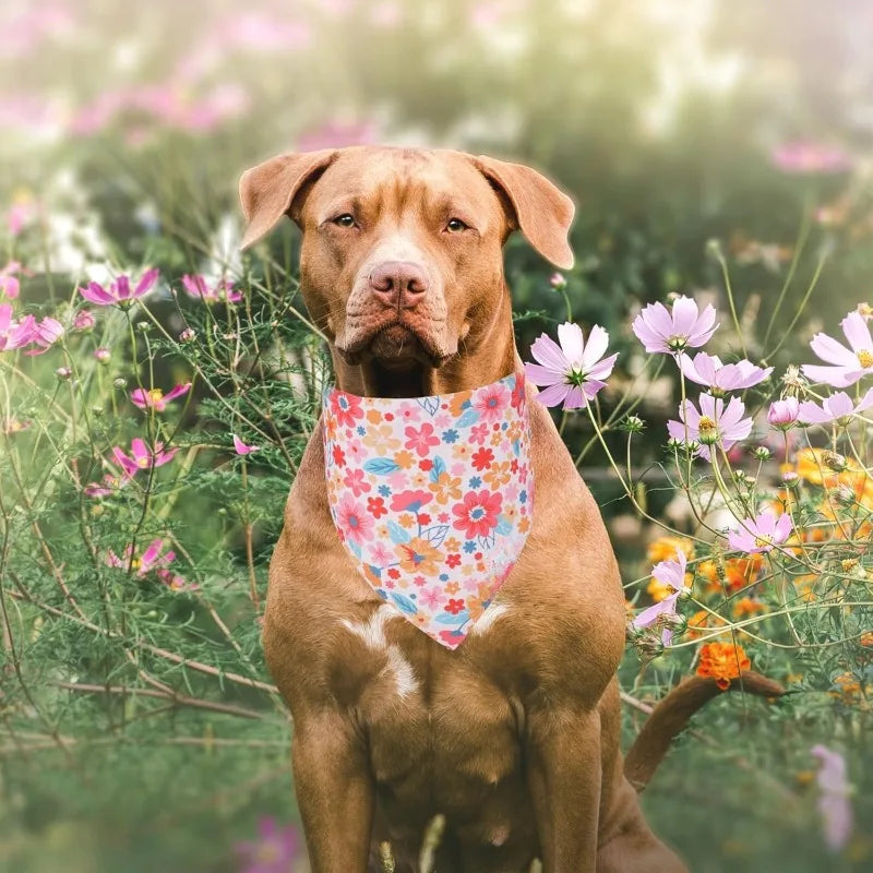 Floral Daisy Print Triangle Dog Bandana – Washable Pet Scarf