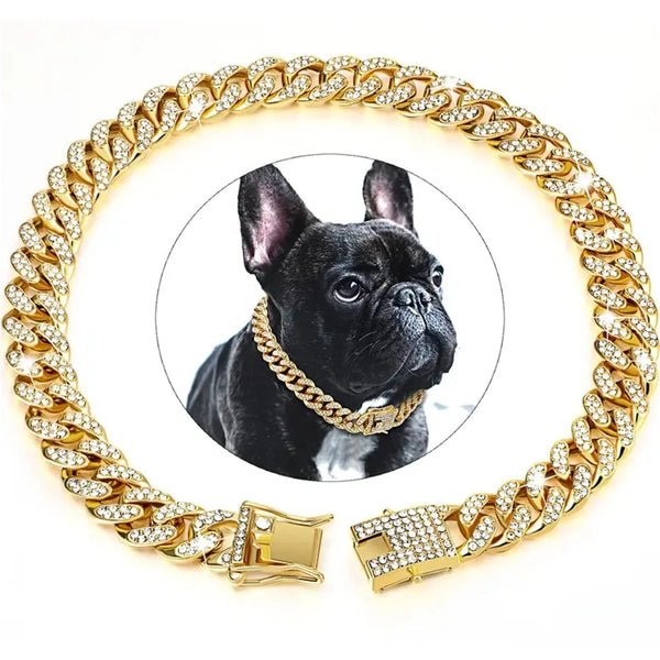 A luxury gold stainless steel pet chain collar featuring a diamond-encrusted link design, shown around a black dog.