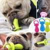 Durable Chew Toy for Small Dogs with Teeth-Cleaning Spikes