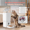 A smart pet feeder with a transparent lid and pawproof lock is shown next to a cat and food bowl.