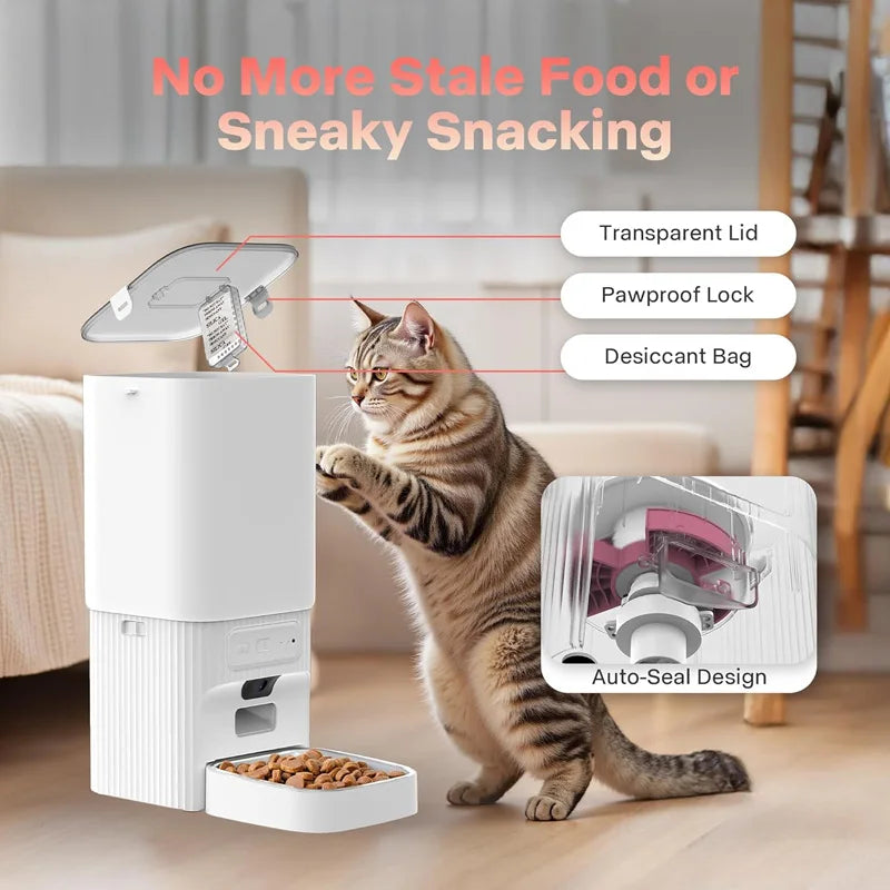 A smart pet feeder with a transparent lid and pawproof lock is shown next to a cat and food bowl.