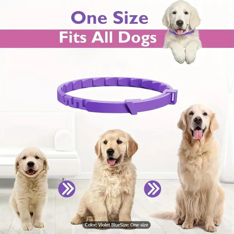Un collar para mascotas morado mostrado junto a varios perros de diferentes tamaños, demostrando un ajuste único.
