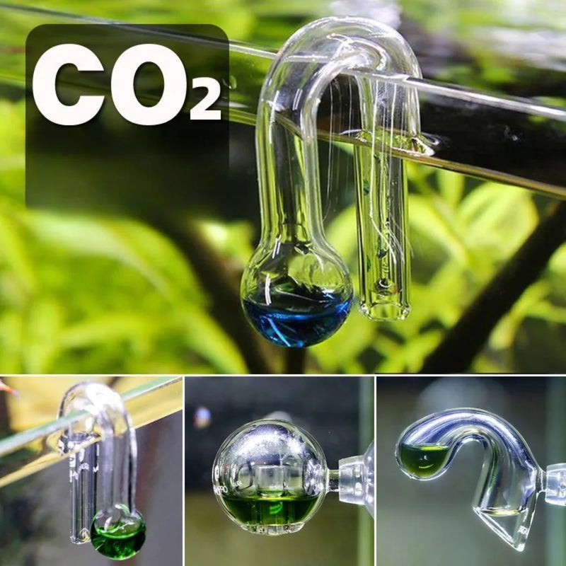 Drop Checker CO2 pour Aquarium