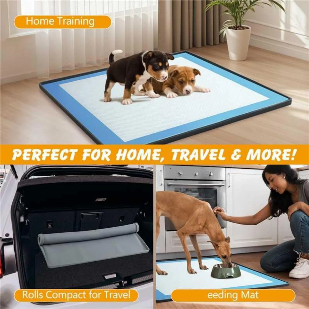 A silicone puppy pad holder with a splash guard is shown on a blue mat used for home training.