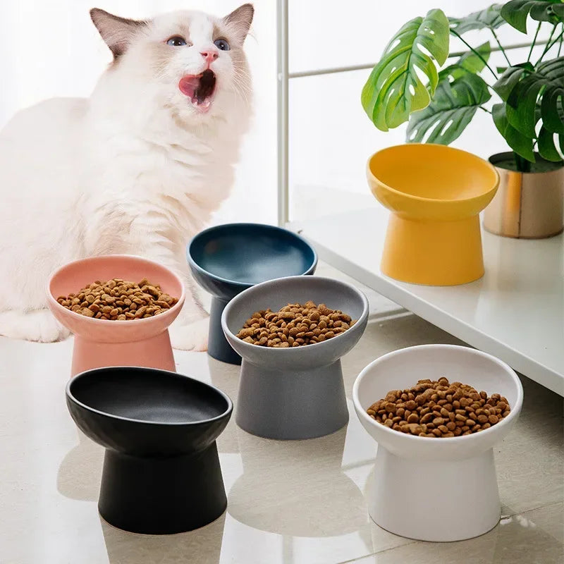 A white cat looks up while several elevated ceramic food bowls in gray, black, and yellow are displayed on a white surface.