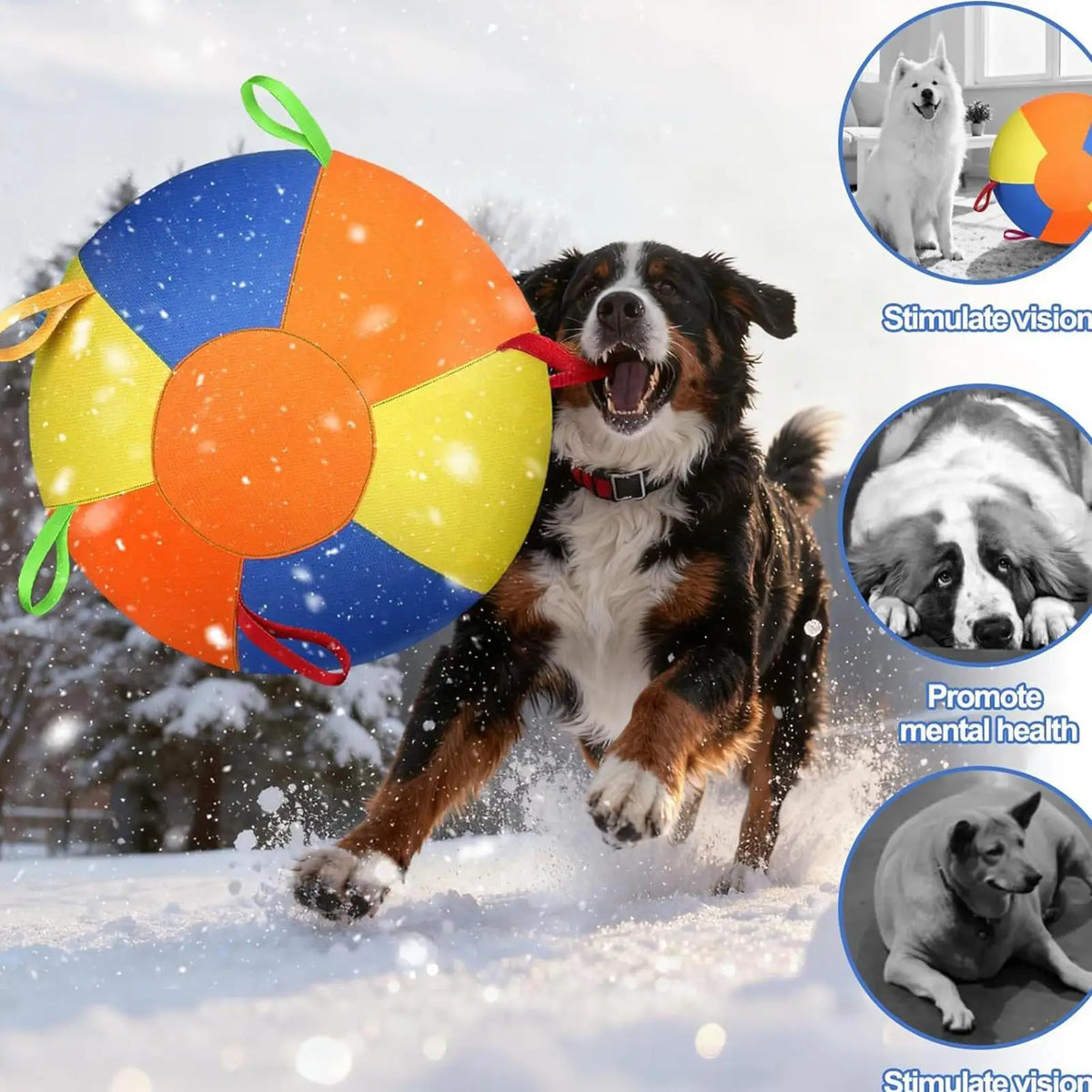 A dog is playing with an orange and blue interactive herding ball toy in the snow, promoting mental health and stimulating vi