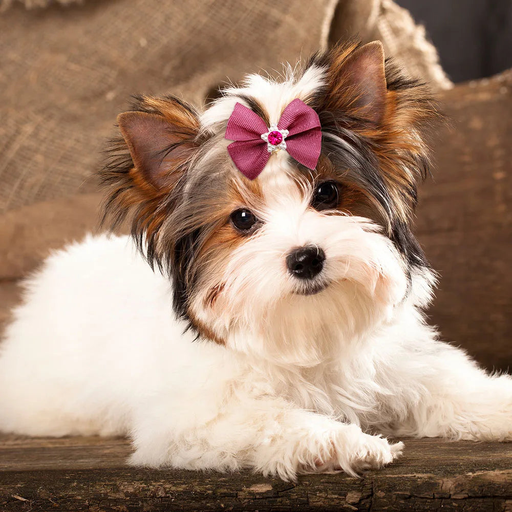 Pearl Puppy Bows with Rubber Bands for Small Dogs and Cats