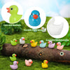 Mini Resin Duck Set (50 Pieces) for Crafts and Decorations