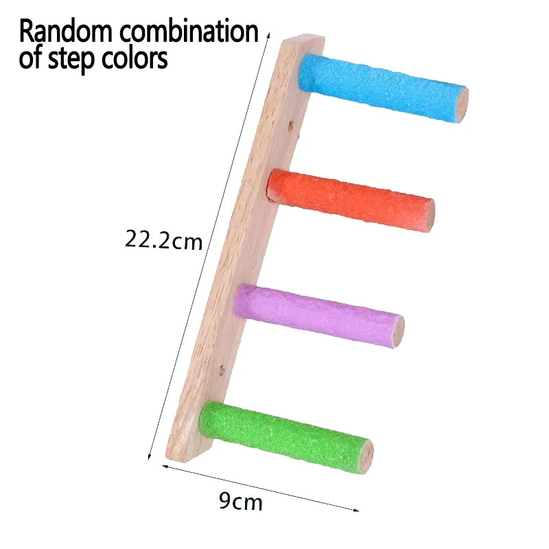Wooden bird climbing ladder with a random combination of colorful steps
