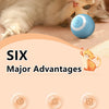 Intelligenter interaktiver Rollball für Katzen