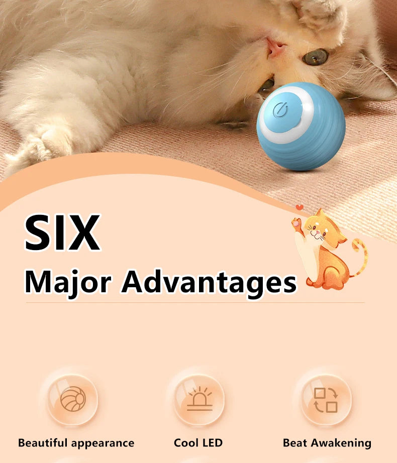 Intelligenter interaktiver Rollball für Katzen