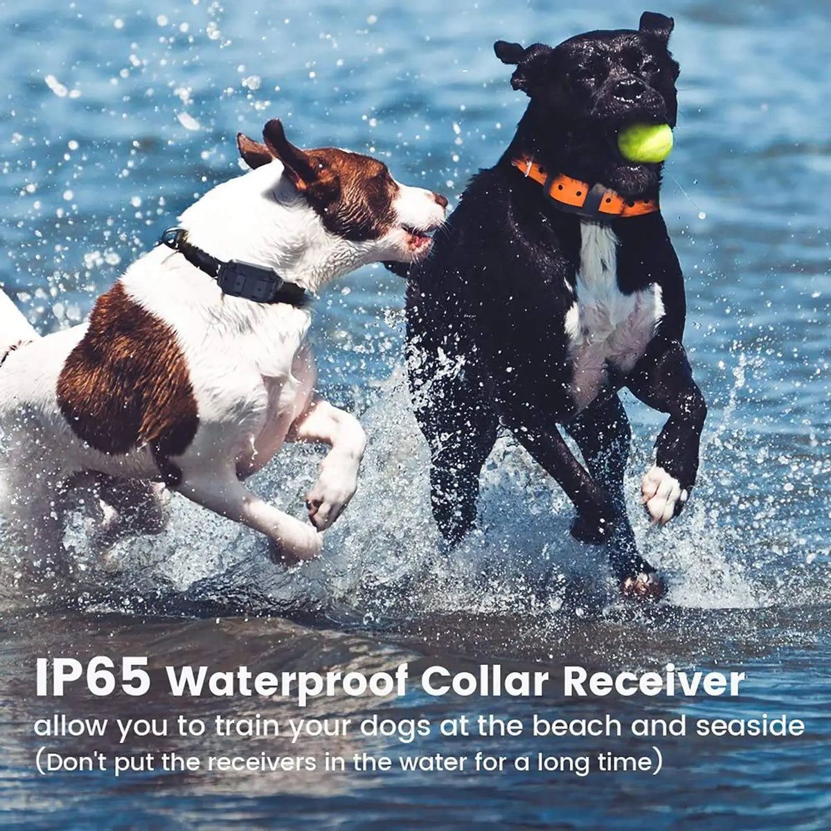 Waterproof Remote Dog Training Collar with Rechargeable Battery