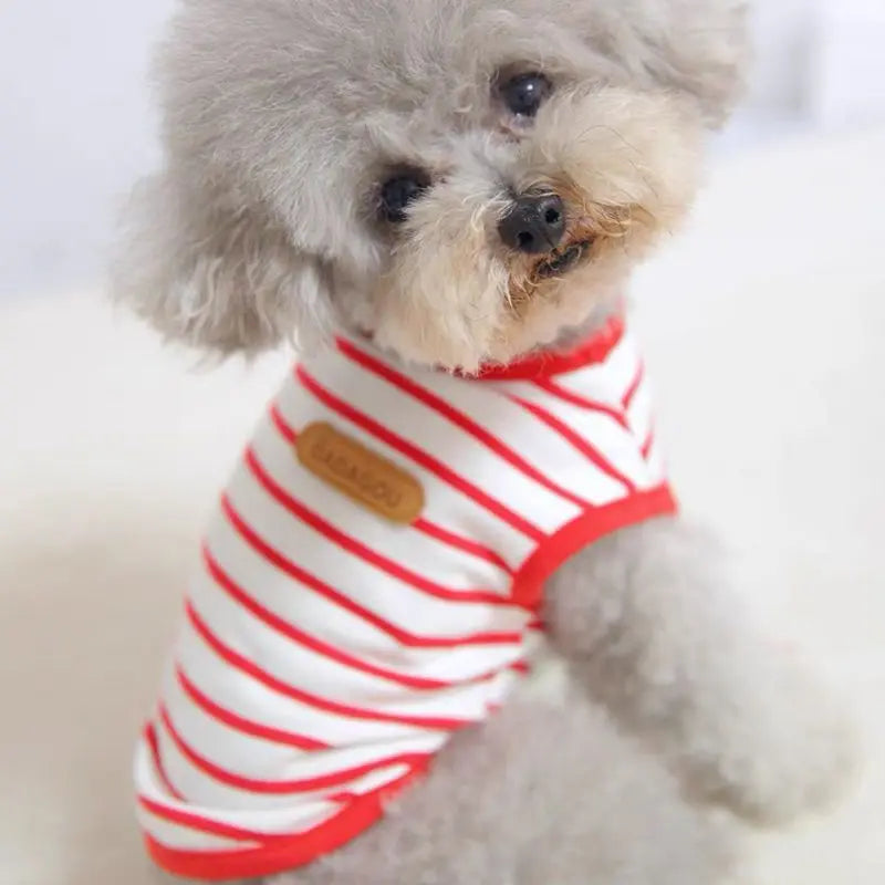 Striped Sleeveless Pet Vest for Small Dogs and Cats