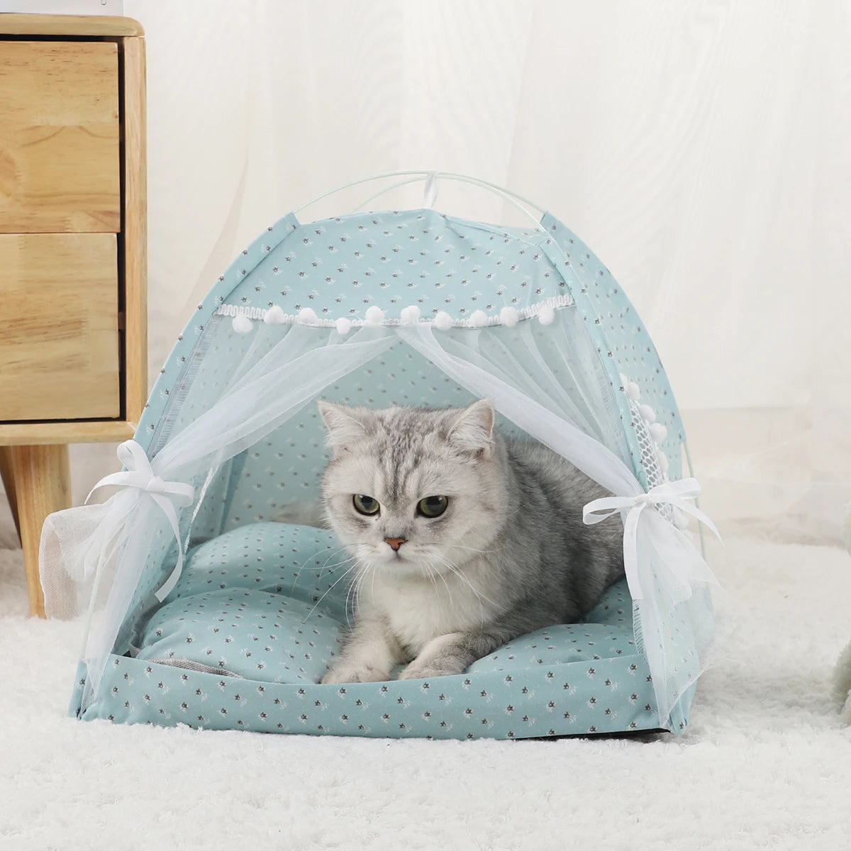 Un chat gris se repose dans un lit de tente en tissu bleu clair avec un filet blanc transparent.