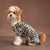 A small dog wearing a leopard print jumpsuit, sitting against a brown background.
