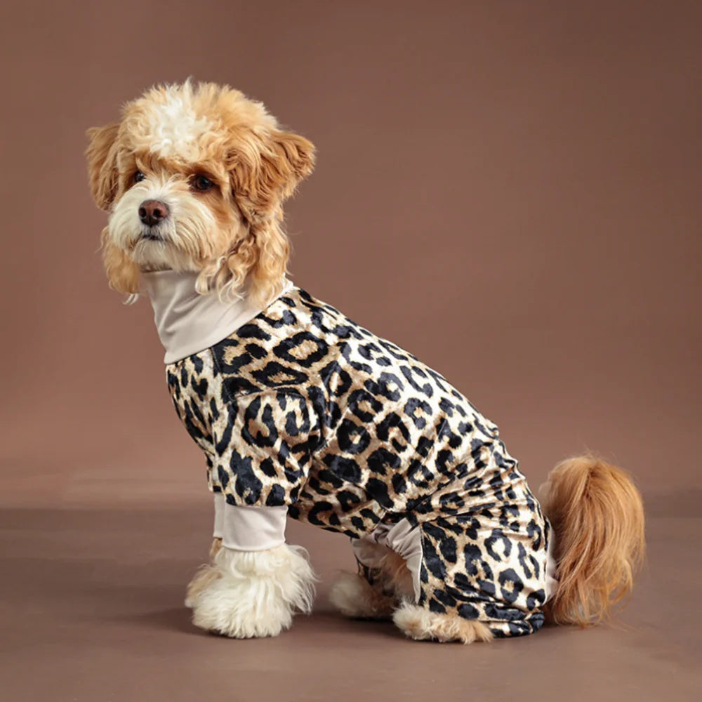 A small dog wearing a leopard print jumpsuit, sitting against a brown background.