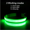 USB Charging Glowing Dog Collar with Pendant - Night Safety