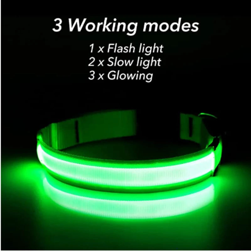 USB Charging Glowing Dog Collar with Pendant - Night Safety