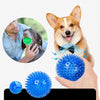 A dog is interacting with a green squeaky toy and a hand is holding a blue spiky ball toy.