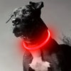 USB-wiederaufladbarer LED-Hundehalsband für mehr Sicherheit bei Nacht
