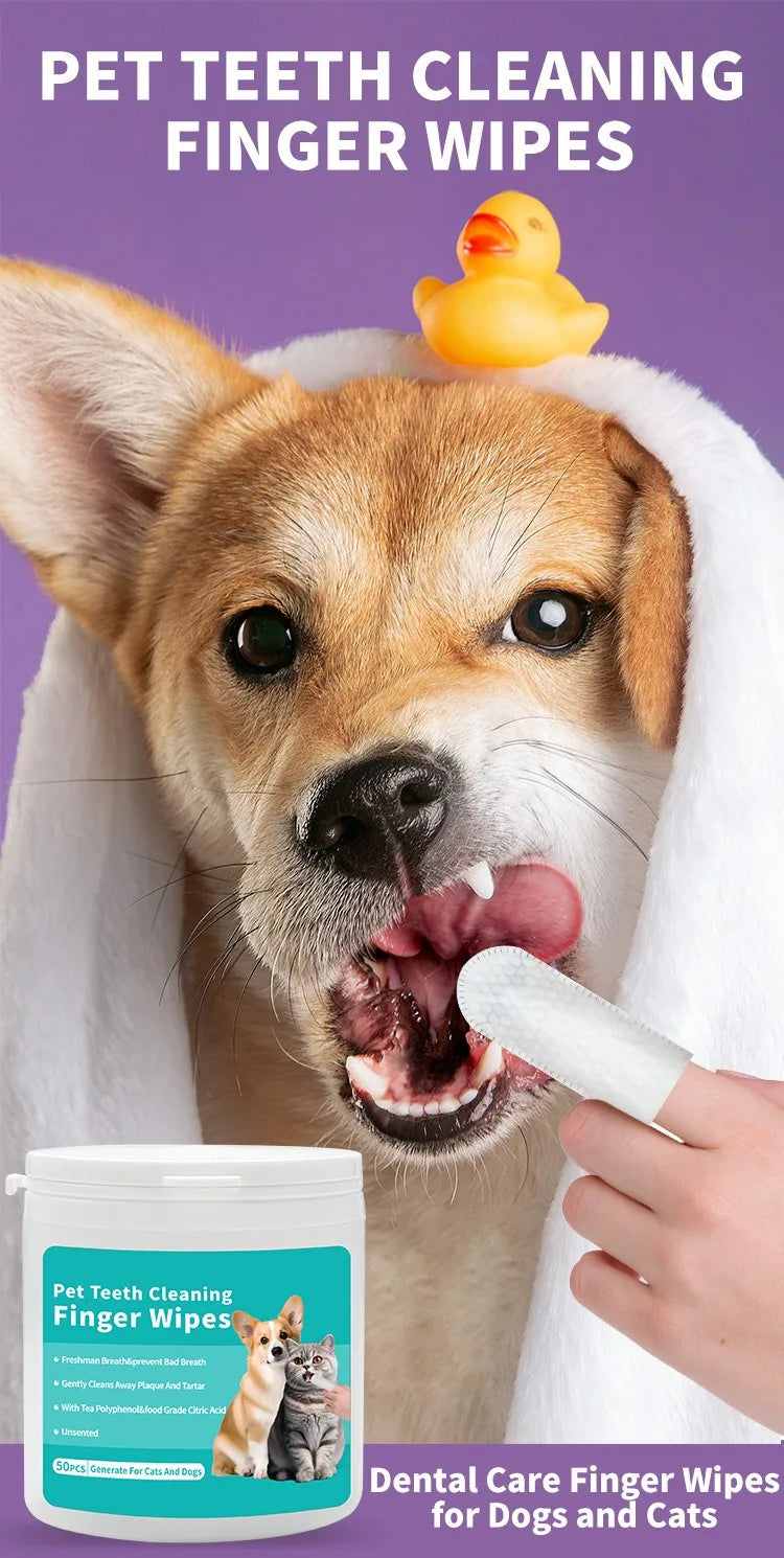Ein Hund hält ein weißes Handtuch und einen Fingerwipe, mit einer Dose zur Reinigung von Tierzähnen sichtbar.