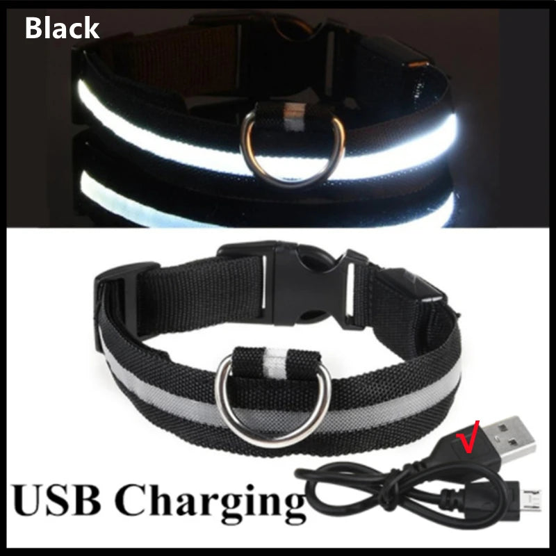 Black USB rechargeable pet safety light collar shown in two views.