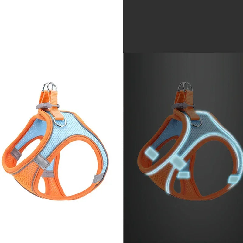 Orange reflective no-pull dog harness and matching leash displayed against a dark background.
