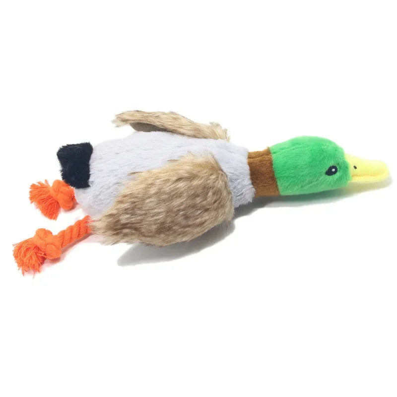 A plush toy of a duck with a chew rope attached, featuring white and brown feathers.