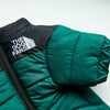 A close-up of a dark green and black quilted dog coat with the text The Dog Fans visible on the chest.