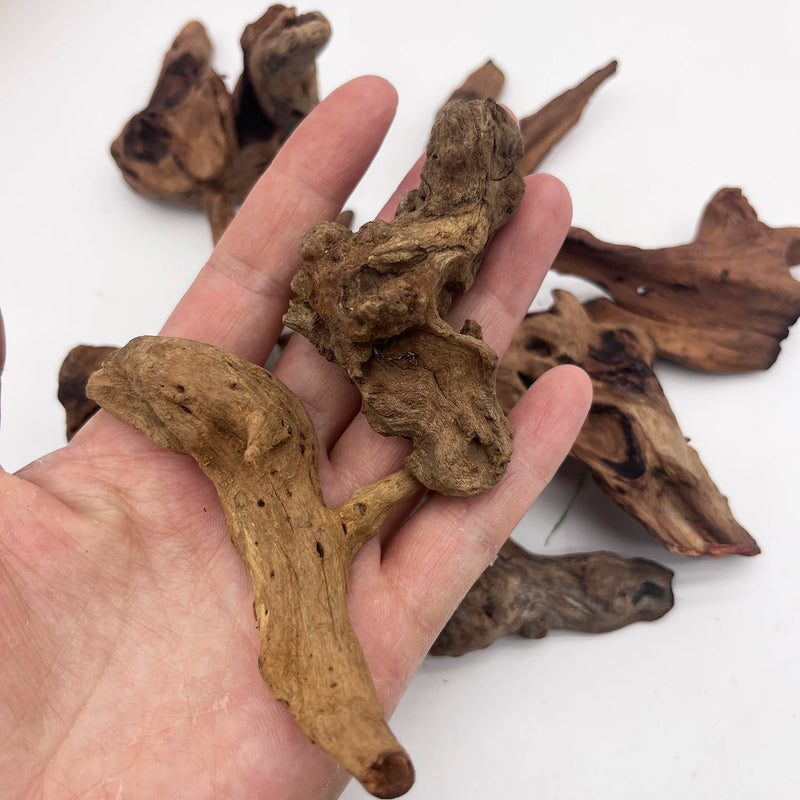 Micro Landscape Aquarium Decor Wood Branches 5-10cm - 3/6/9pcs