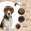 Pet Bob Wig – Funny Cat & Dog Costume Accessory