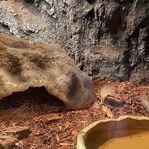 Natural Resin Rock Cave Hideout for Reptiles