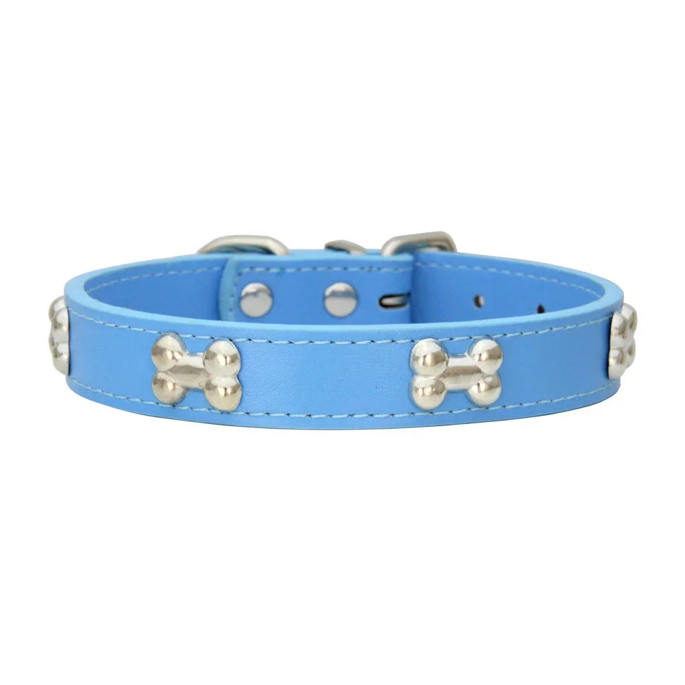 Light blue padded leather dog collar with silver bone rivets and a buckle.