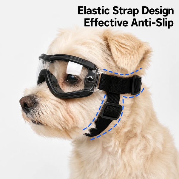 A light-colored dog is wearing black elastic strap sunglasses for UV protection and anti-slip grip.