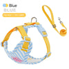 Striped Color-Block Dog Harness with Matching Leash