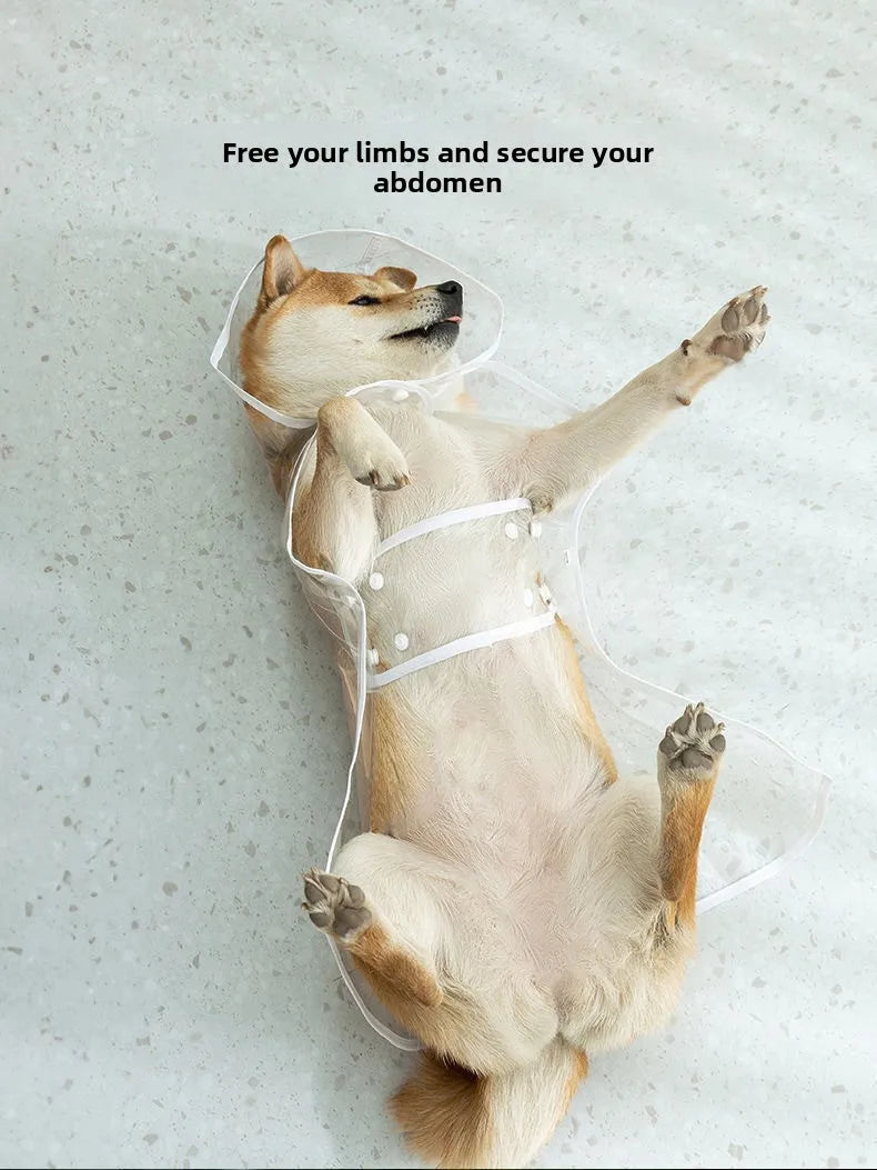 Clear Waterproof Dog Raincoat with Adjustable Hood