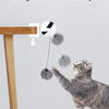 Interaktives elektrisches Katzenspielzeug mit aufsteigendem Ball
