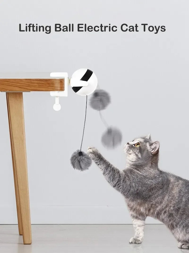 Eine graue Katze interagiert mit einem Elektrowidget, das eine Kugel hebt, die von einem Holztable wird.