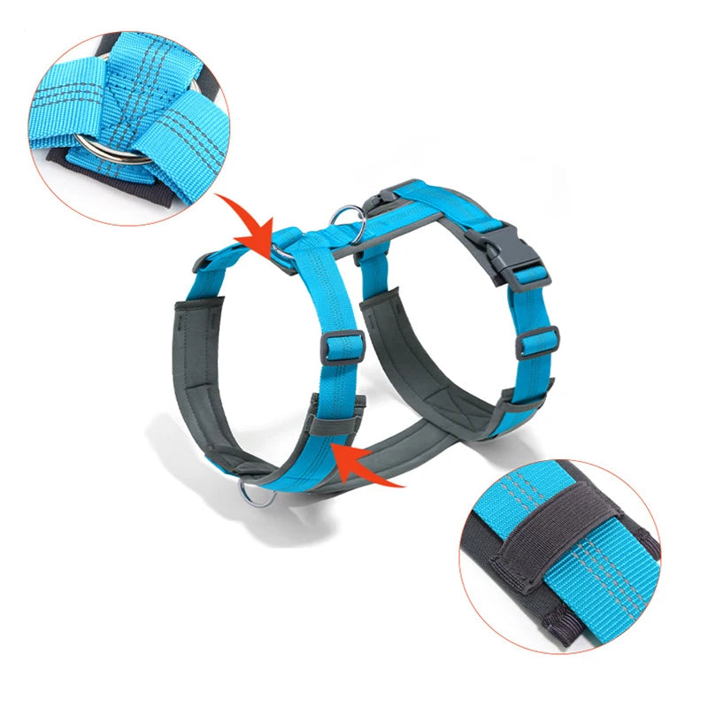 A blue and gray adjustable no-pull reflective dog harness shown with close-up views of the strap and buckle.