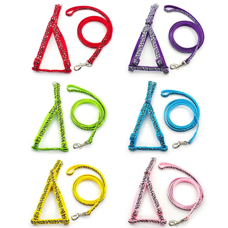 A collection of various adjustable dog harnesses and leashes in different colors and styles.