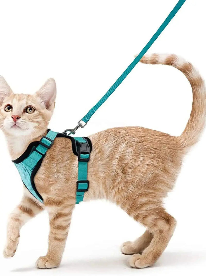 Ausbruchssicherer Katzengeschirr mit Leine