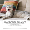 Cat Pheromone Diffuser – Calming Plug-in for Anxiety & Stress Relief