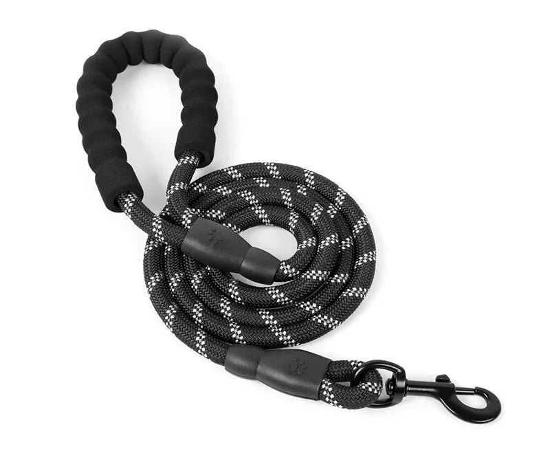 Black reflective nylon dog leash with a padded handle coiled and lying on a white background.