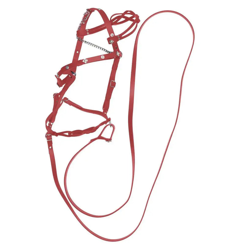 Mors en cuir PU ajustable pour cheval