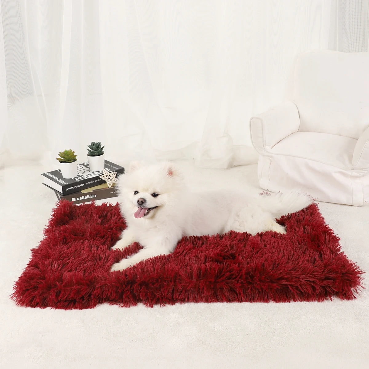 A fluffy white dog lying on a red faux fur blanket indoors.