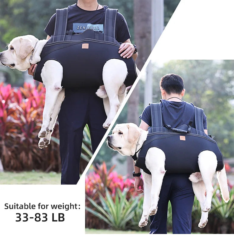 Großer Hundetrage-Rucksack