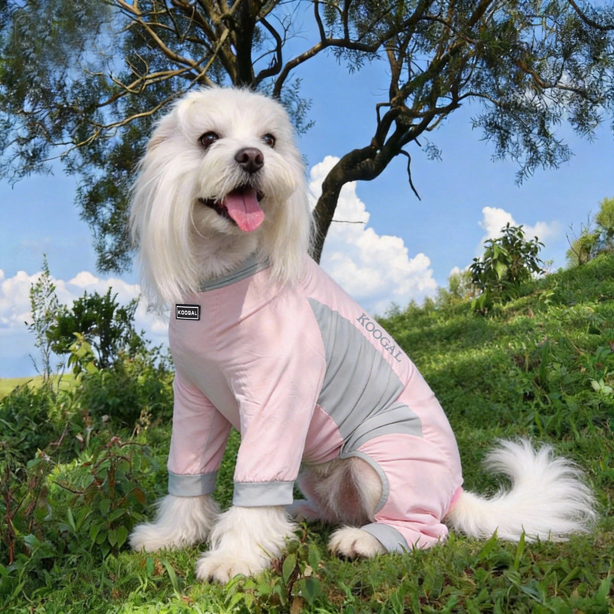 Pet Cooling Full-Body Suit for Summer Heat Relief